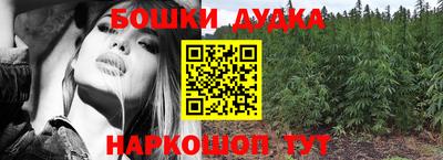 индика Пенза