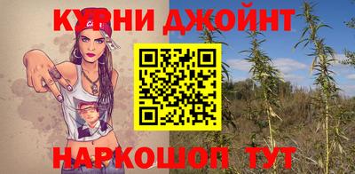 индика Пенза