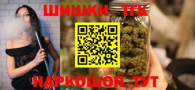индика Пенза