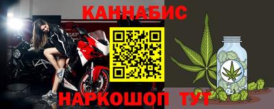 индика Пенза