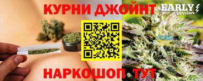 гидра Партизанск