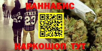 индика Пенза