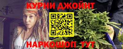 индика Пенза
