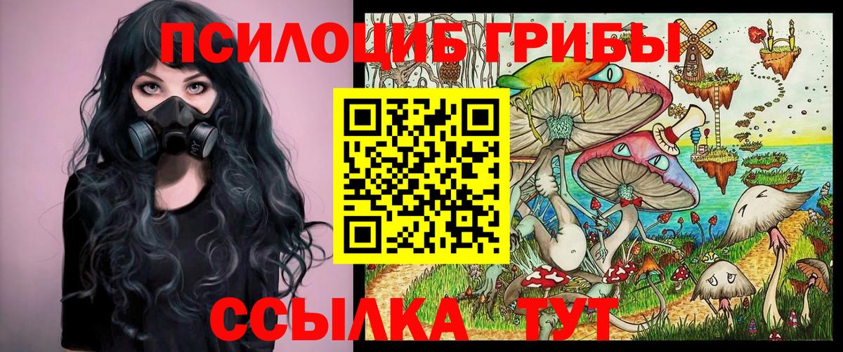 Петрозаводск  Галлюциногенные грибы мицелий  Вход с VPN 